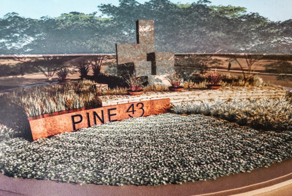 PINE 43 - Meridian Idaho- Dennis Baker